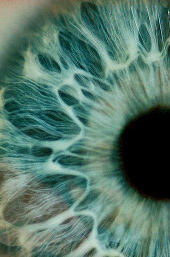 Iridology